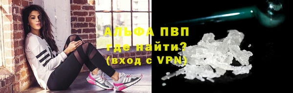 молекула духа Арсеньев