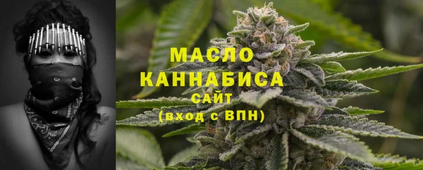 молекула духа Арсеньев